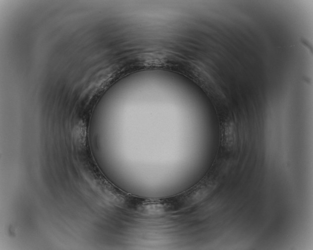 X0000103460228200809191819