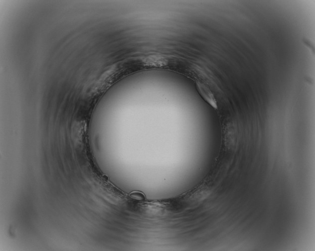X0000103460229200809191819