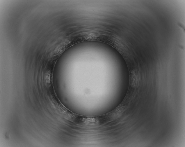 X0000103460230200809191819