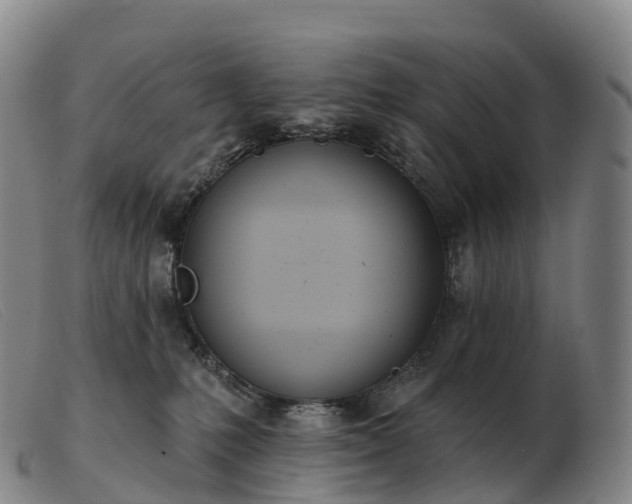 X0000103460231200809191819