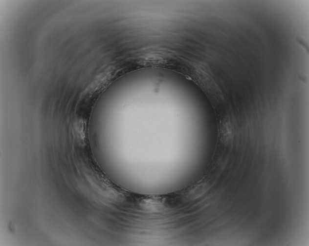 X0000103460232200809191819
