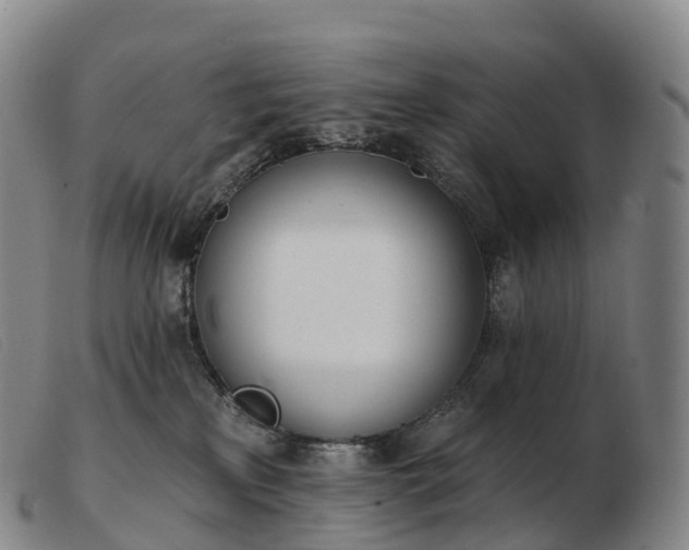 X0000103460233200809191819