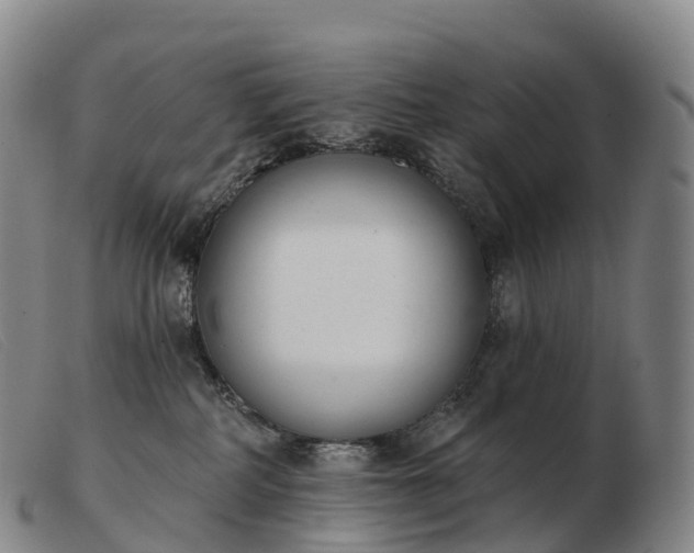 X0000103460234200809191819