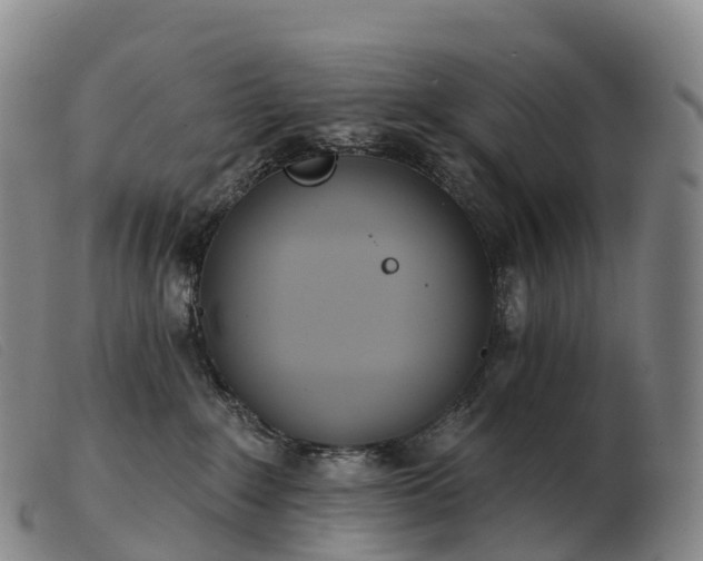 X0000103460235200809191819