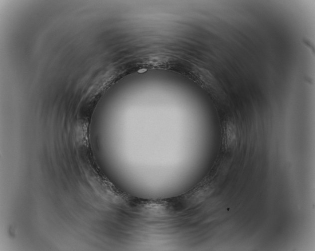X0000103460236200809191819