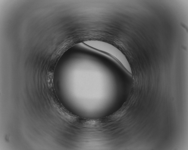 X0000103460237200809191819