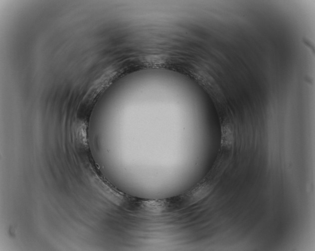 X0000103460238200809191819