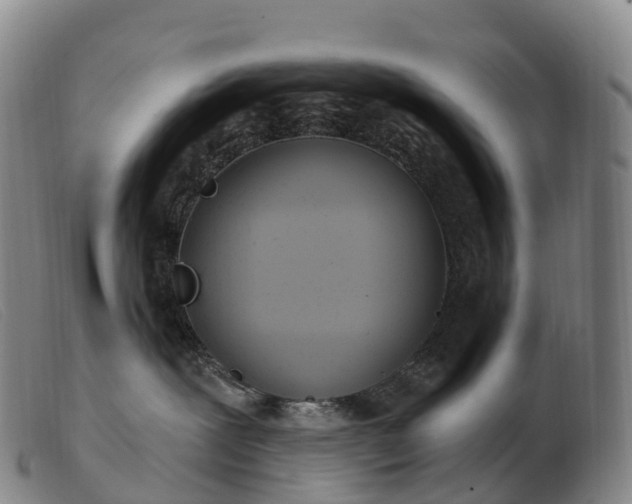 X0000103460239200809191819