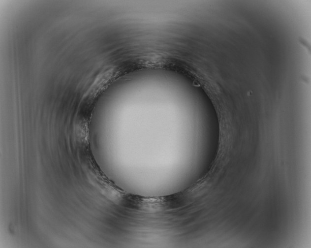 X0000103460240200809191819