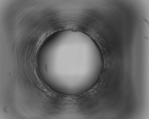 X0000103460241200809191818