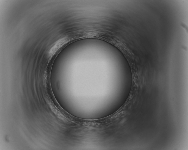 X0000103460242200809191818