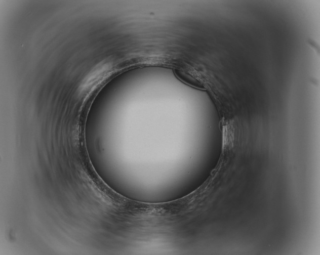 X0000103460243200809191818