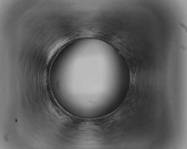 X0000103460244200809191818
