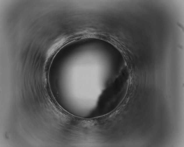 X0000103460245200809191818