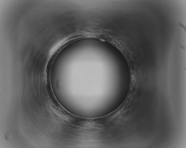 X0000103460246200809191818