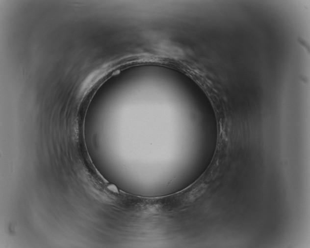 X0000103460247200809191818