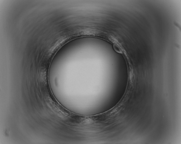 X0000103460249200809191818