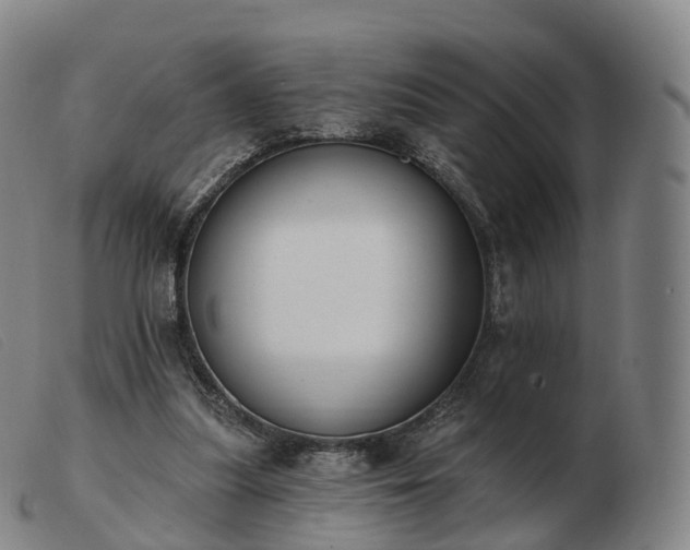 X0000103460251200809191818