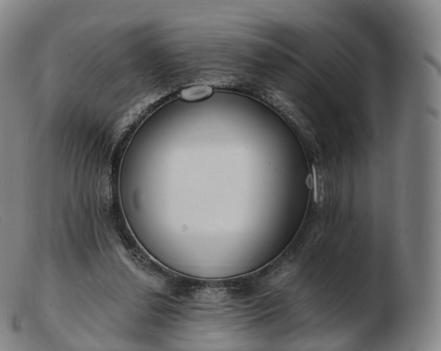 X0000103460252200809191818