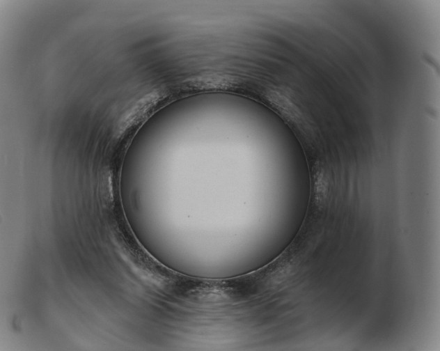 X0000103460254200809191818