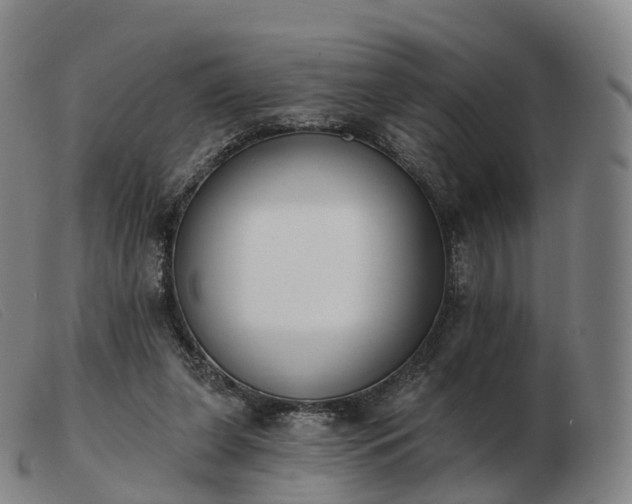 X0000103460255200809191818