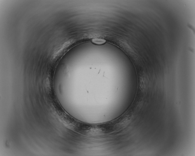 X0000103460256200809191818