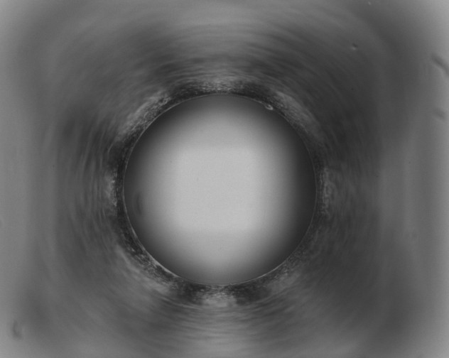 X0000103460258200809191818