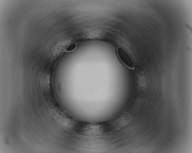 X0000103460260200809191818