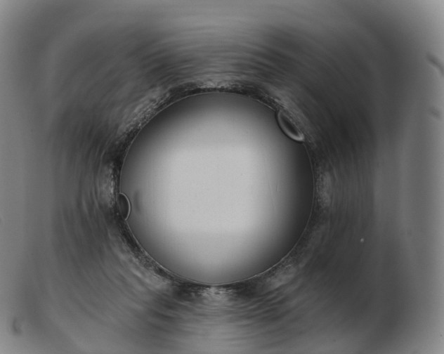 X0000103460261200809191818