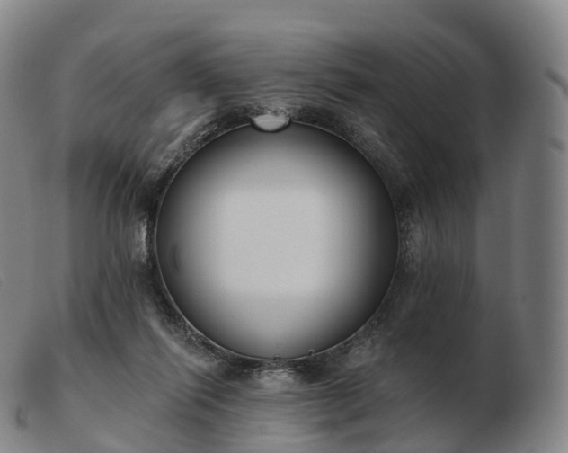X0000103460262200809191818