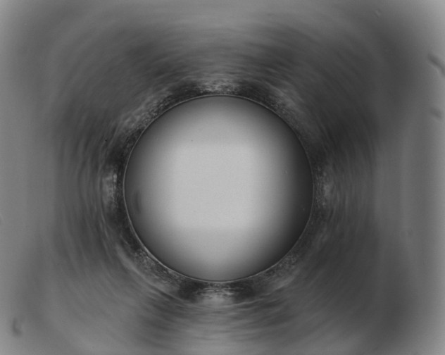 X0000103460263200809191818