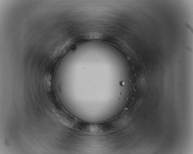 X0000103460264200809191818