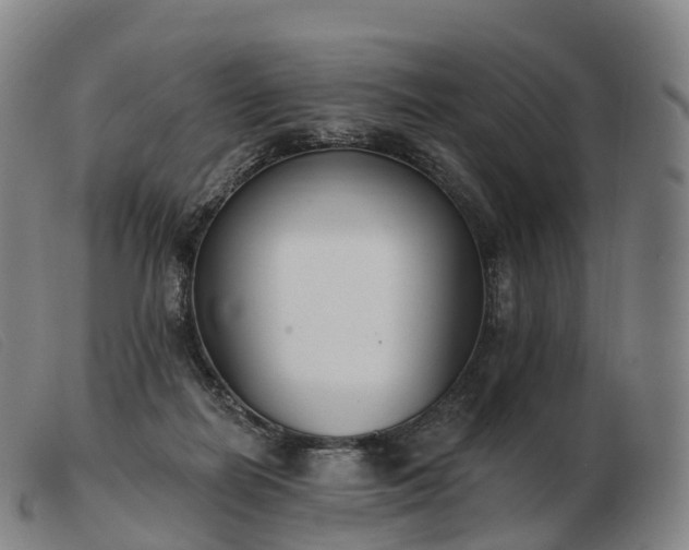 X0000103460266200809191818