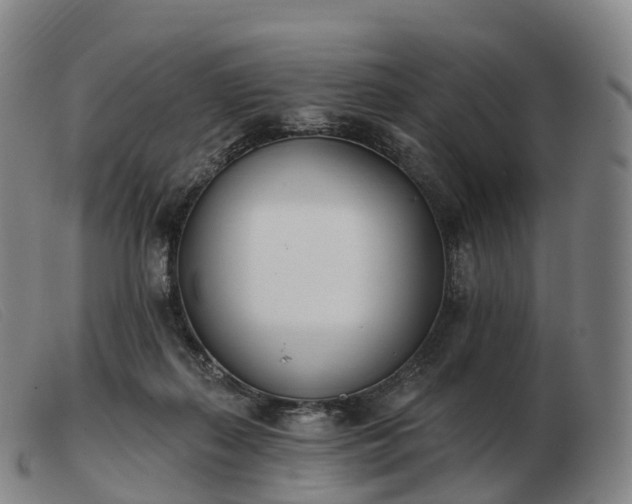 X0000103460267200809191818