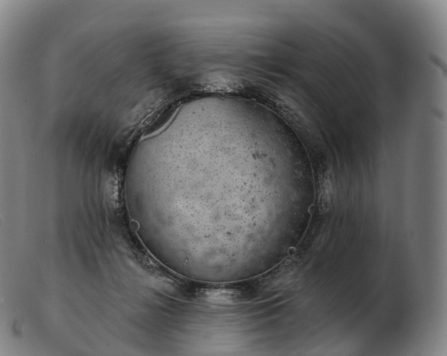 X0000103460268200809191818