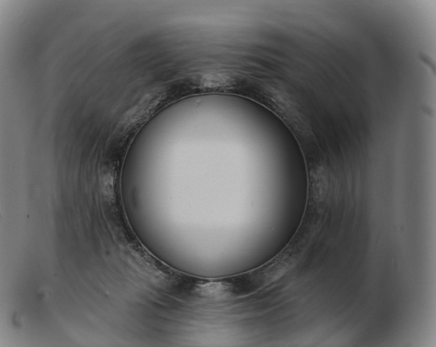 X0000103460269200809191818