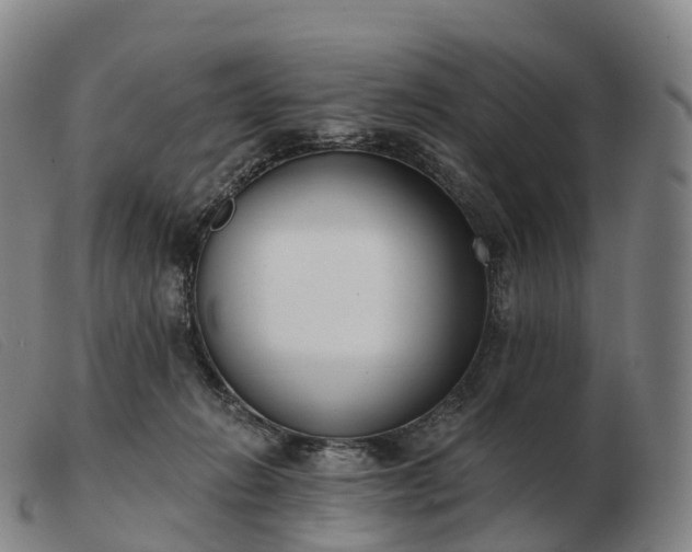 X0000103460270200809191818
