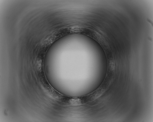 X0000103460271200809191818