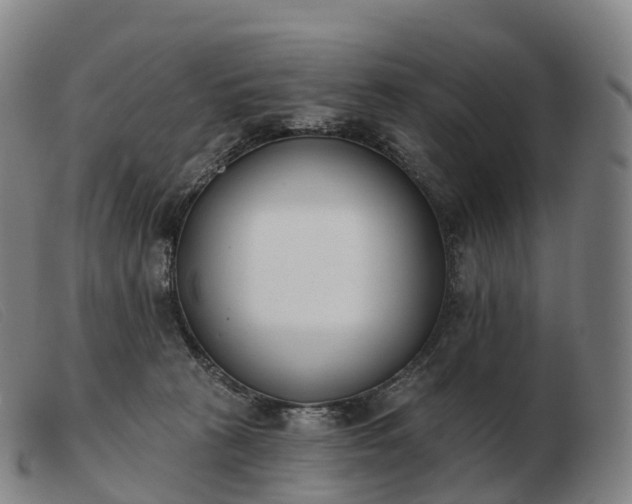 X0000103460273200809191818