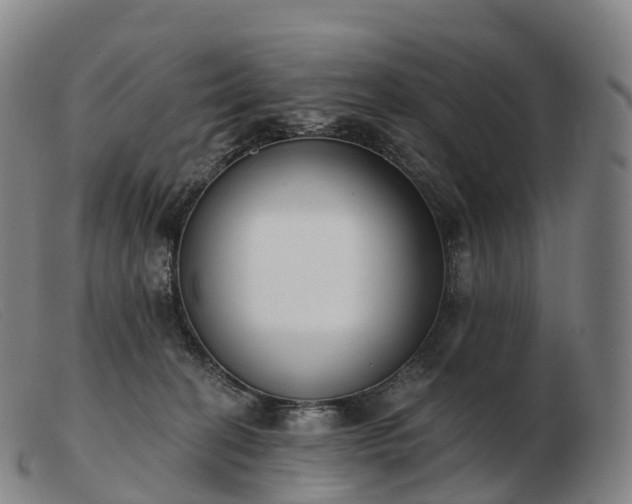 X0000103460274200809191819