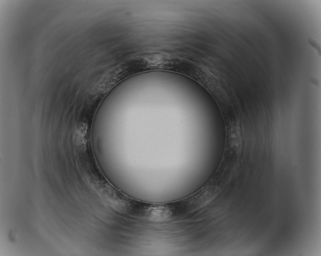 X0000103460275200809191819