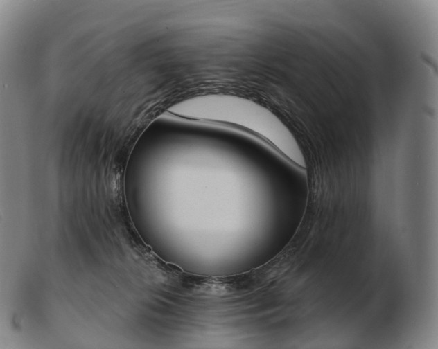 X0000103460276200809191819
