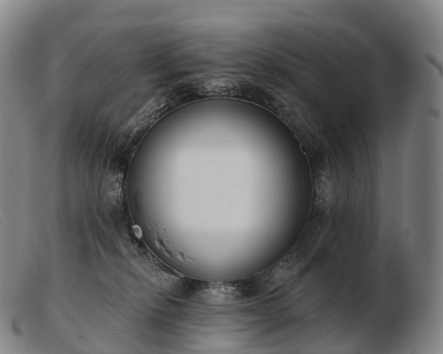 X0000103460278200809191819