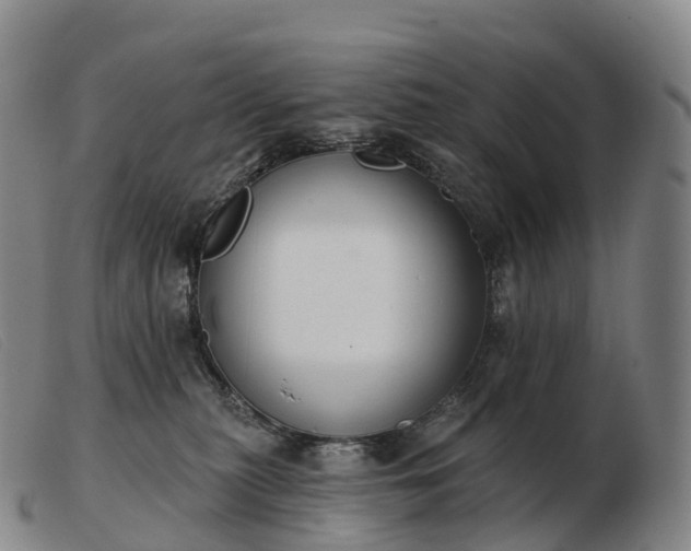 X0000103460279200809191819
