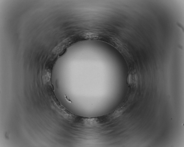 X0000103460281200809191819