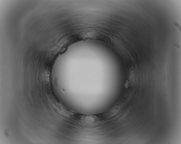 X0000103460282200809191819