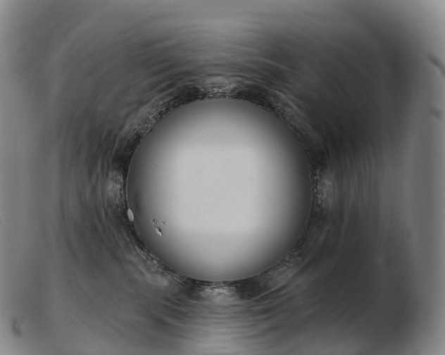 X0000103460283200809191819