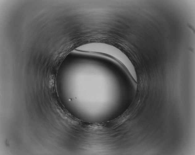 X0000103460284200809191819