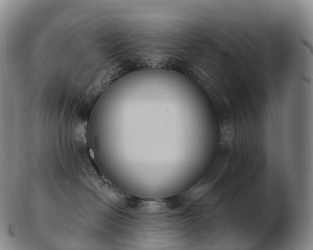 X0000103460286200809191819