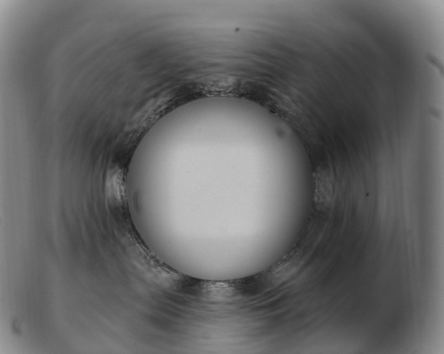 X0000103460287200809191819